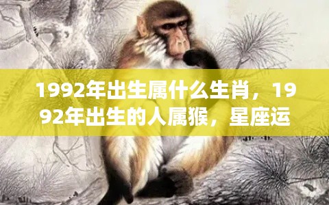 1992年属猴人的星座运势解析,如何借助星象助力人生飞跃