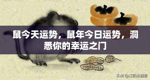 鼠年今日运势揭秘,开启你的幸运之门