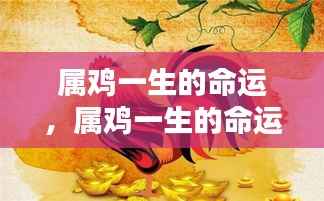 属鸡人的命运探索,吉祥之禽在命运之轮中的轨迹