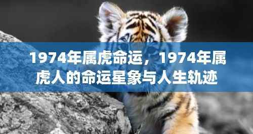1974年属虎人的命运解析与人生轨迹展望