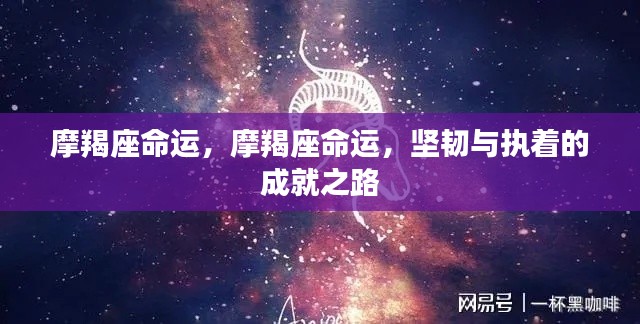 司空见惯 第4页