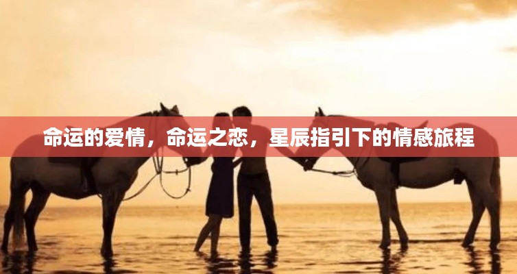 星辰指引下的命运之恋,情感旅程的启程