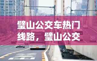 璧山公交车热门线路,星座运势交织的奇妙旅程