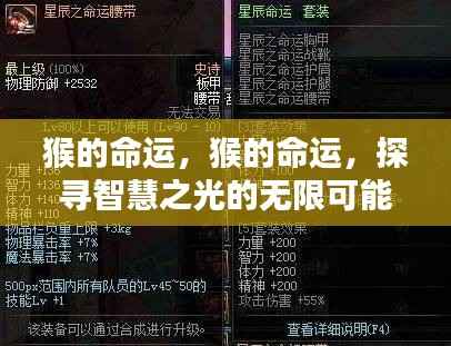 探寻猴的命运,智慧之光的无限可能