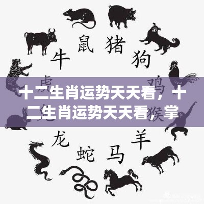 十二生肖每日运势解析,掌握星象变化,洞悉运势走向