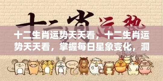 十二生肖每日运势解析,掌握星象变化,洞悉运势走向