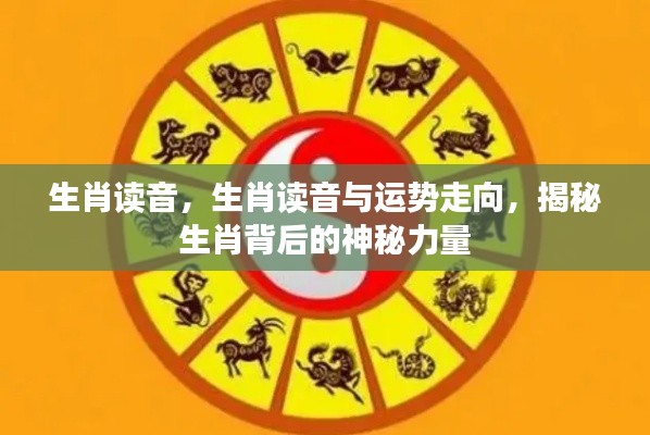 揭秘生肖读音与运势走向,探寻背后的神秘力量