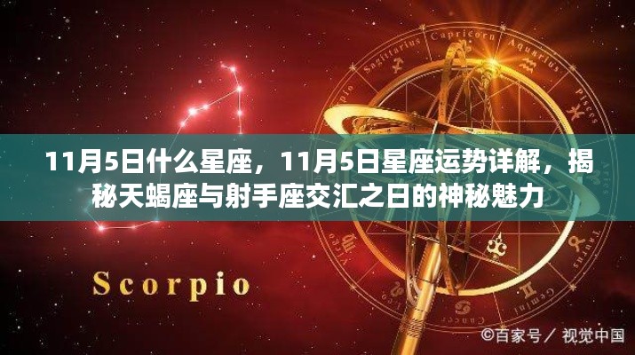 揭秘神秘交汇日,11月5日天蝎座与射手座的星座运势详解与神秘魅力探寻