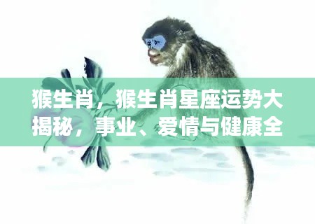 猴生肖运势大揭秘,事业、爱情与健康全面解析及星座运势展望