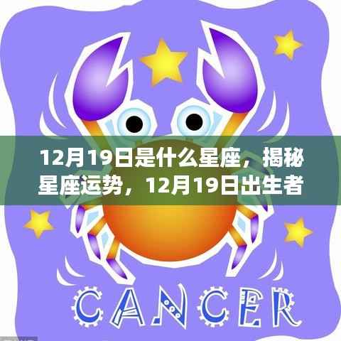 揭秘星座运势,12月19日出生者的星座特征与运势解析
