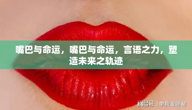 嘴巴与命运,言语之力,决定未来轨迹