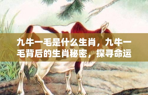 九牛一毛背后的生肖秘密,探寻命运之轮中的特殊缘分与生肖缘分解析