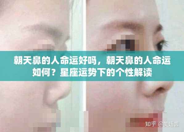 星座运势解读,朝天鼻的人命运个性分析