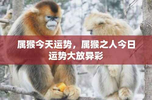 属猴今日运势大放异彩,运势亨通!