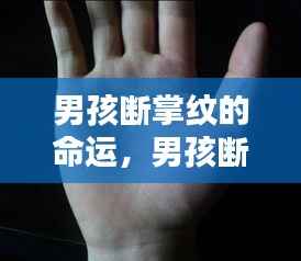 男孩断掌纹的命运,掌纹奥秘揭示人生轨迹微妙联系