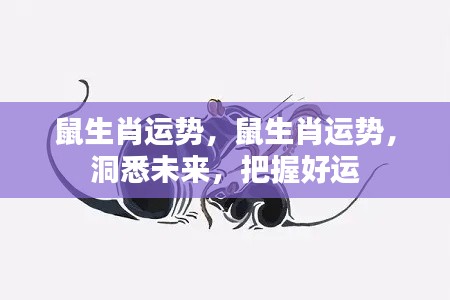 鼠生肖运势揭秘,洞悉未来,掌握好运之道