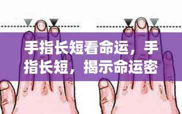 手指长短揭示命运之谜,微观之手相探秘之旅