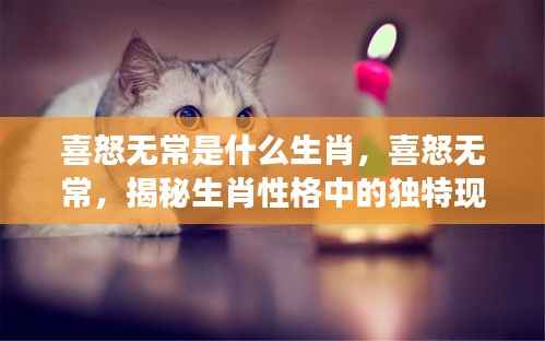 屦贱踊贵 第3页