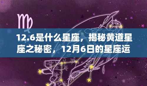 揭秘黄道星座之谜,12月6日的星座运势解析及星座属性解析(射手座)