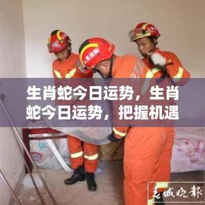 生肖蛇今日运势详解,把握机遇,顺势而为的策略