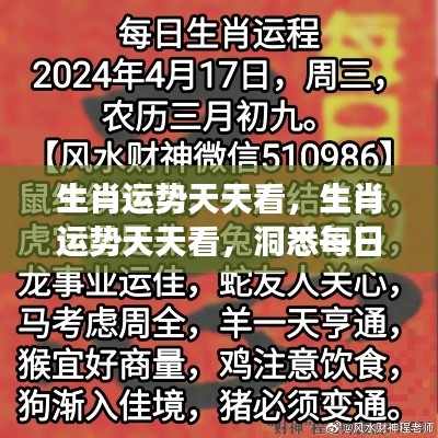 每日生肖运势解析,掌握好运,洞悉变化