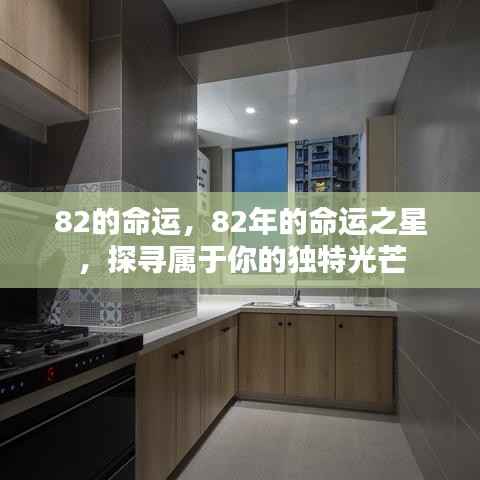 两袖清风 第3页