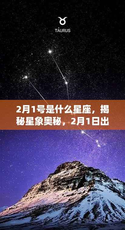 揭秘星象奥秘,2月1日出生者的星座运势与性格特征