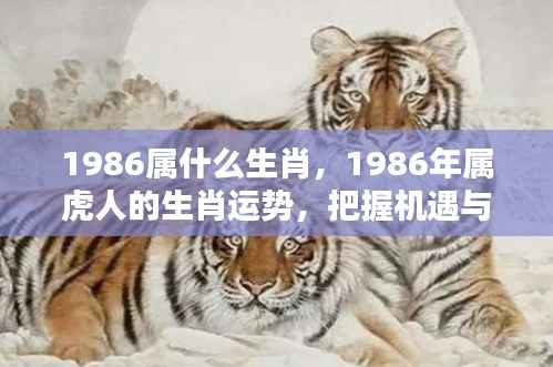 1986年属虎人的运势分析及挑战把握