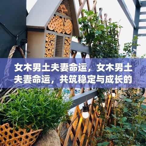 女木男土夫妻命运,共筑稳定与成长,双人组合展现和谐之力