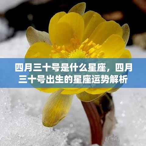 四月三十号星座运势解析,揭秘出生于此日的星座性格与运势特点