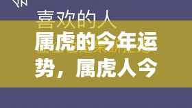 属虎人运势解析,今年运势走向全面解读