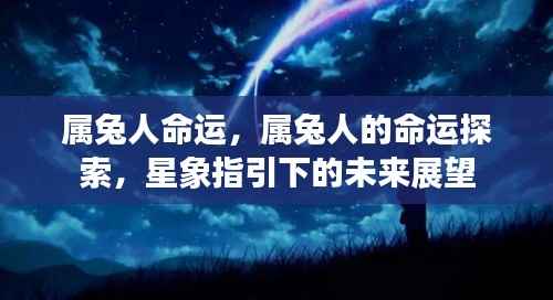属兔人的命运探索与星象指引的未来展望