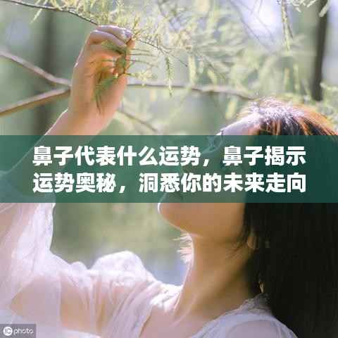 鼻子揭示运势奥秘,洞悉未来走向的线索
