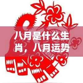 八月生肖运势揭秘,展望生肖运势展望与运势展望