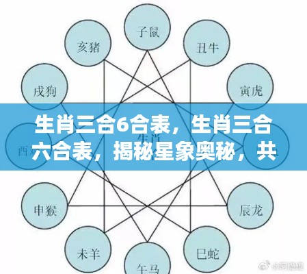 生肖三合六合表揭秘,星象奥秘与运势巅峰共探之路