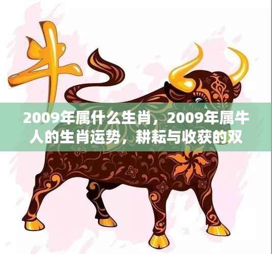 2009年属牛人的生肖运势,耕耘与收获的双重奏