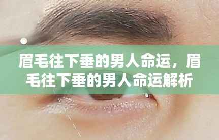 眉毛往下垂的男人的命运解析,面相揭示未来?