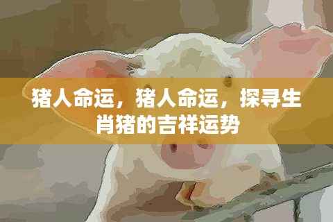 生肖猪的吉祥运势探寻,猪人的命运展望