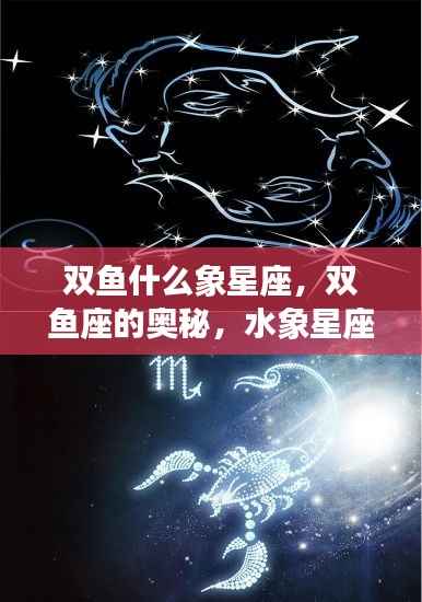 揭秘双鱼座,水象星座的魅力与独特奥秘