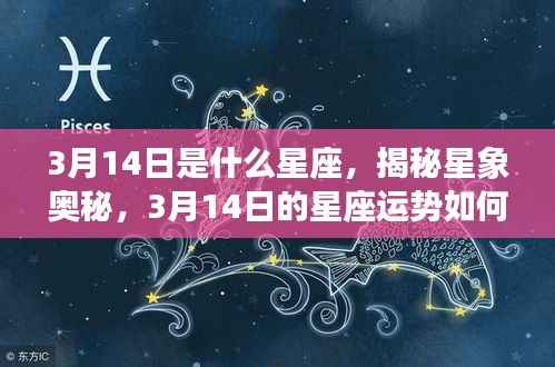 揭秘星象奥秘,3月14日的星座运势与星座特征分析
