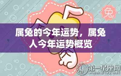 属兔人今年运势概览,全面解析属兔者的运势走向
