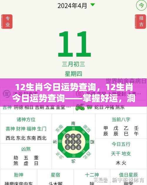 今日12生肖运势查询,洞悉未来,掌握好运