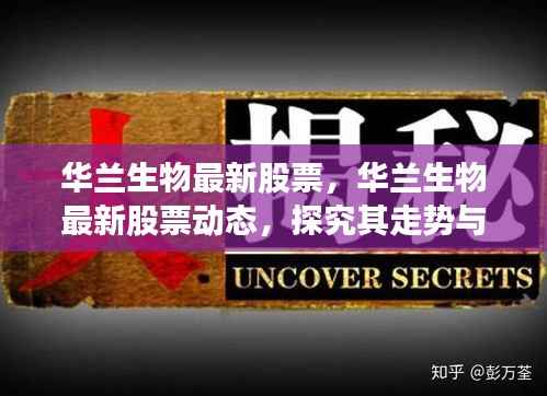 华兰生物最新股票动态解析,走势、投资策略深度探究