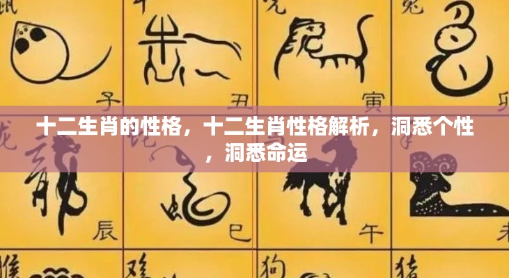 十二生肖性格深度解析,个性与命运洞悉指南