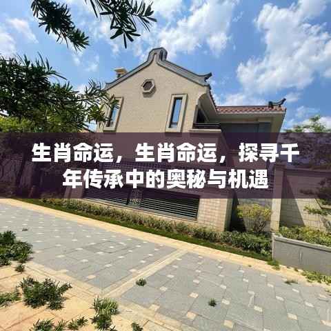 生肖命运奥秘探寻,千年传承中的机遇与挑战