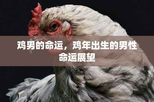 鸡年男性的命运展望与命运轨迹分析
