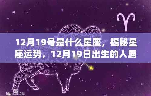 揭秘星座运势,12月19日出生的人的星座属性与运势解析