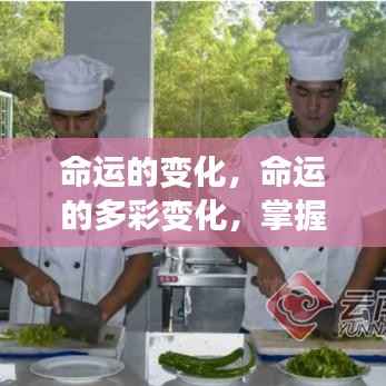 命运的多彩变化,掌握自我,拥抱未来之旅