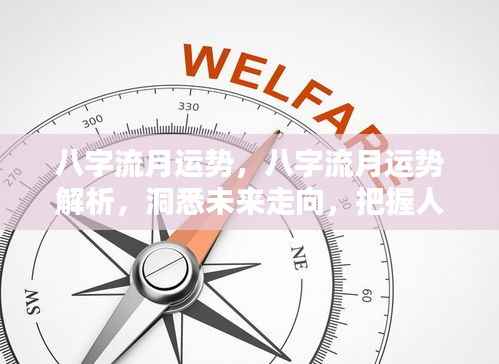八字流月运势解析,洞悉未来,把握人生机遇