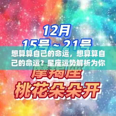 星座运势解析揭秘未来走向,你的命运如何?